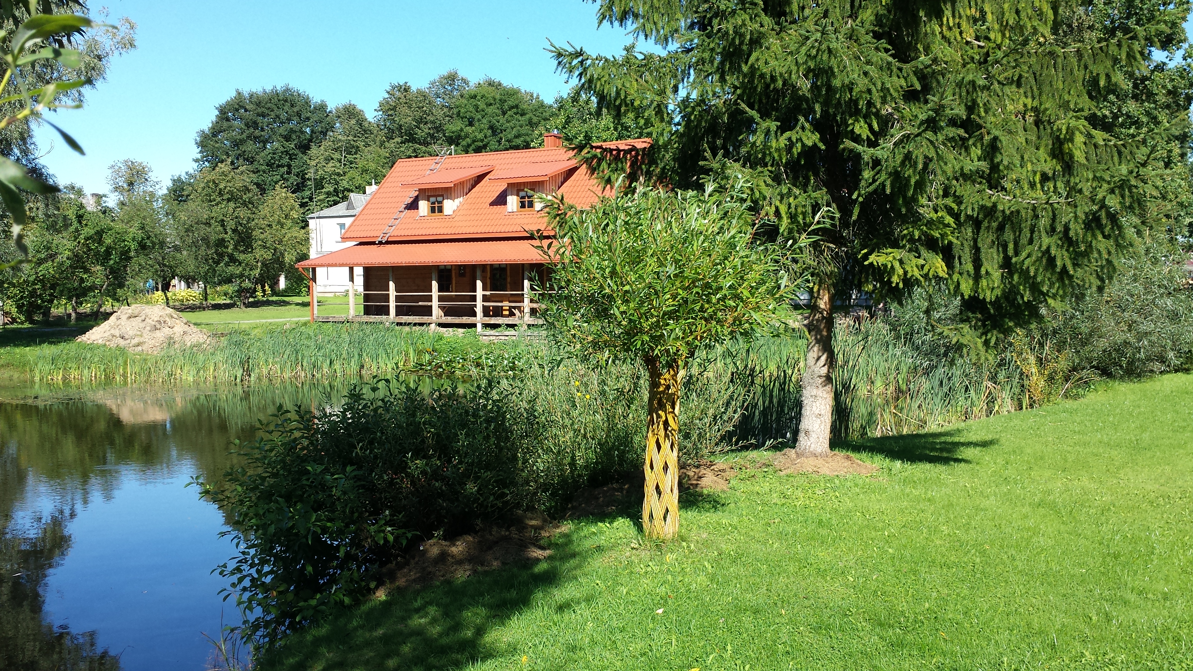 Living Willow