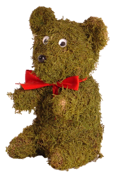 3001 Teddybear
