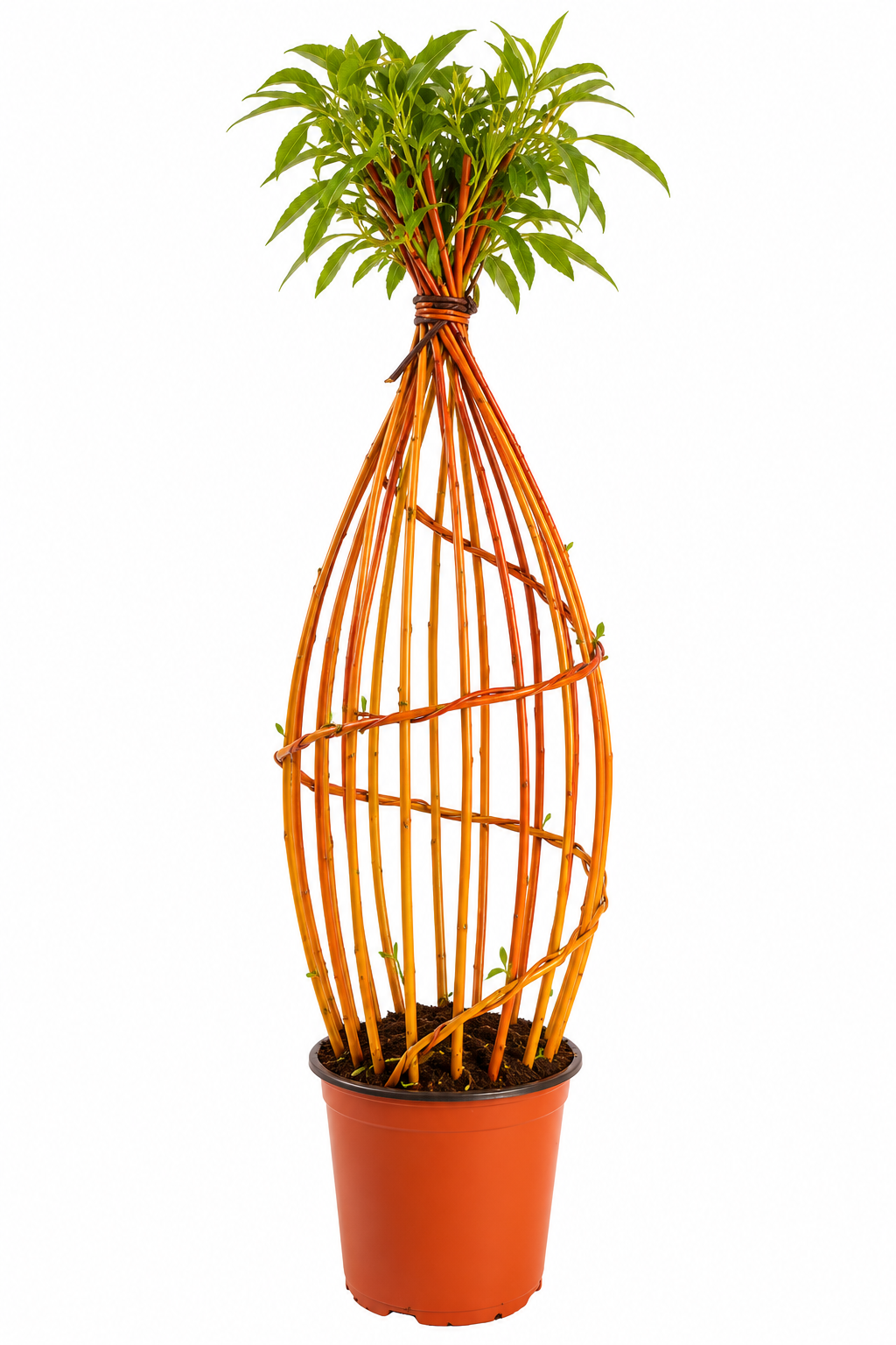 TiPi - Yellow