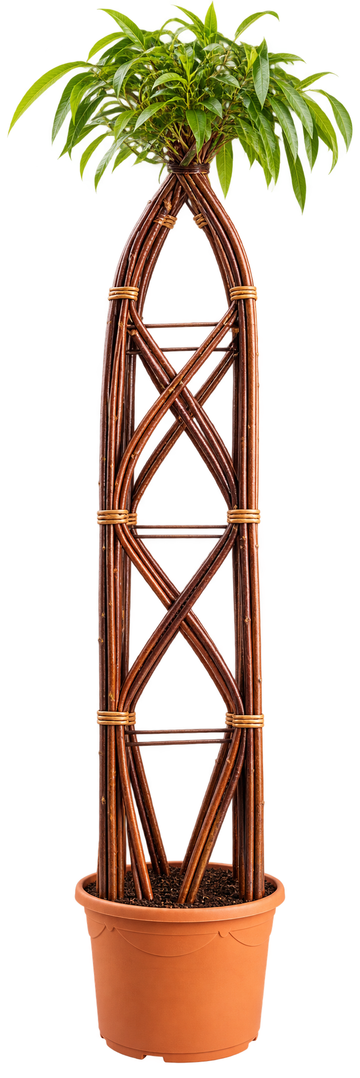 Tower 1