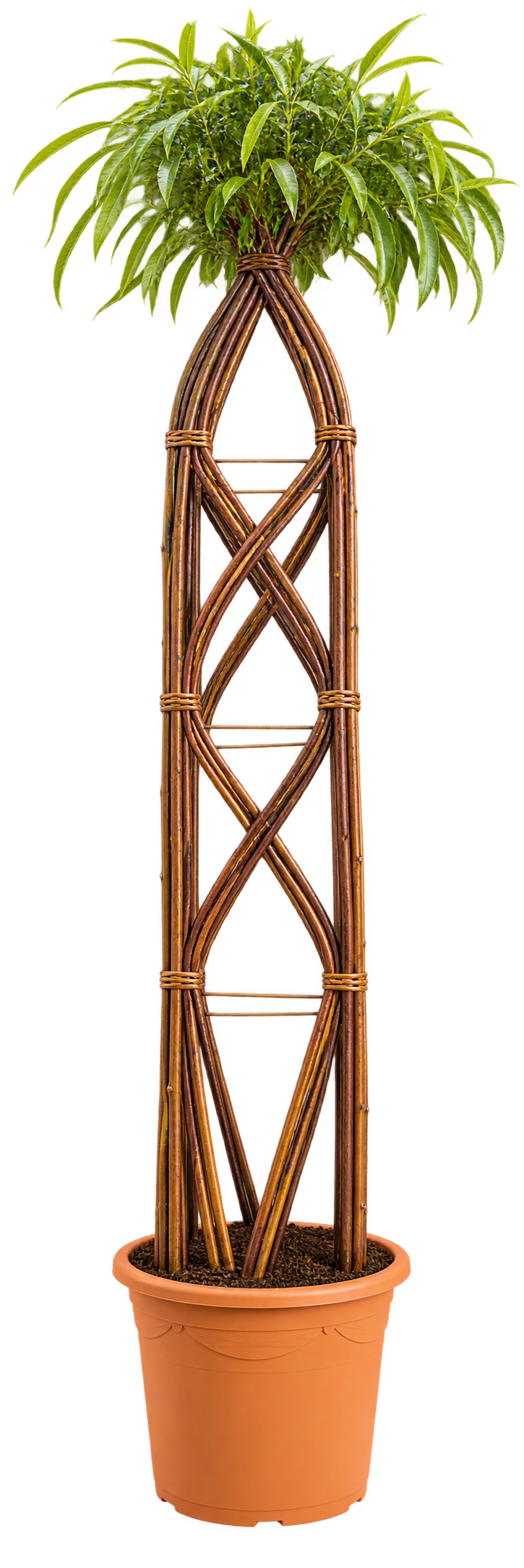Tower