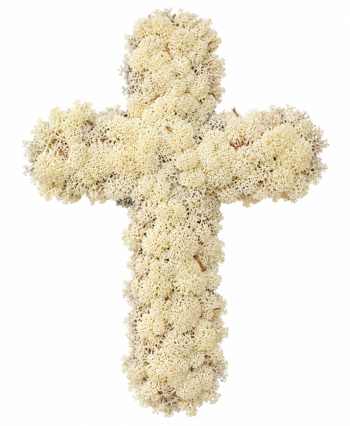 180425 White Cross