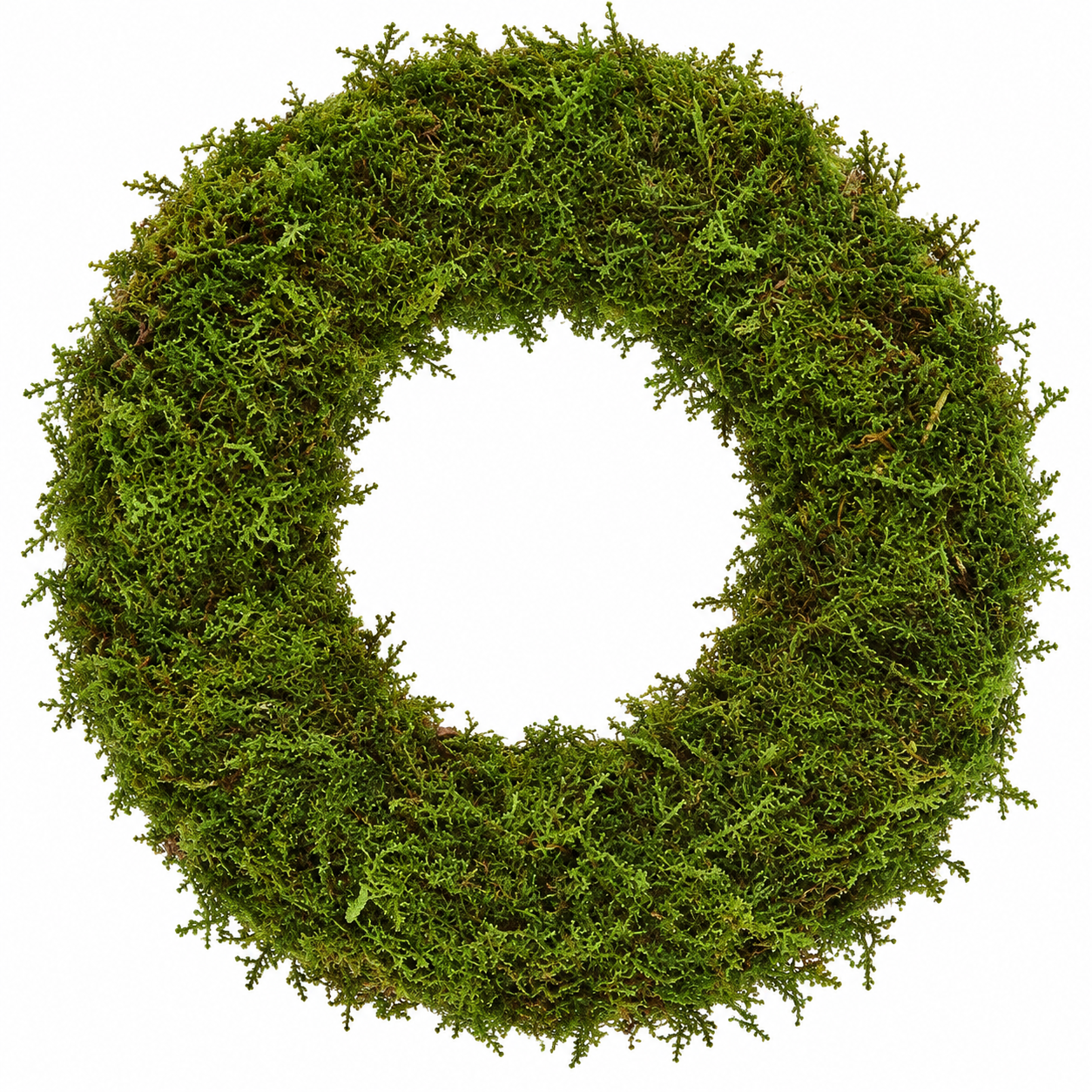 181125 Green Wreath