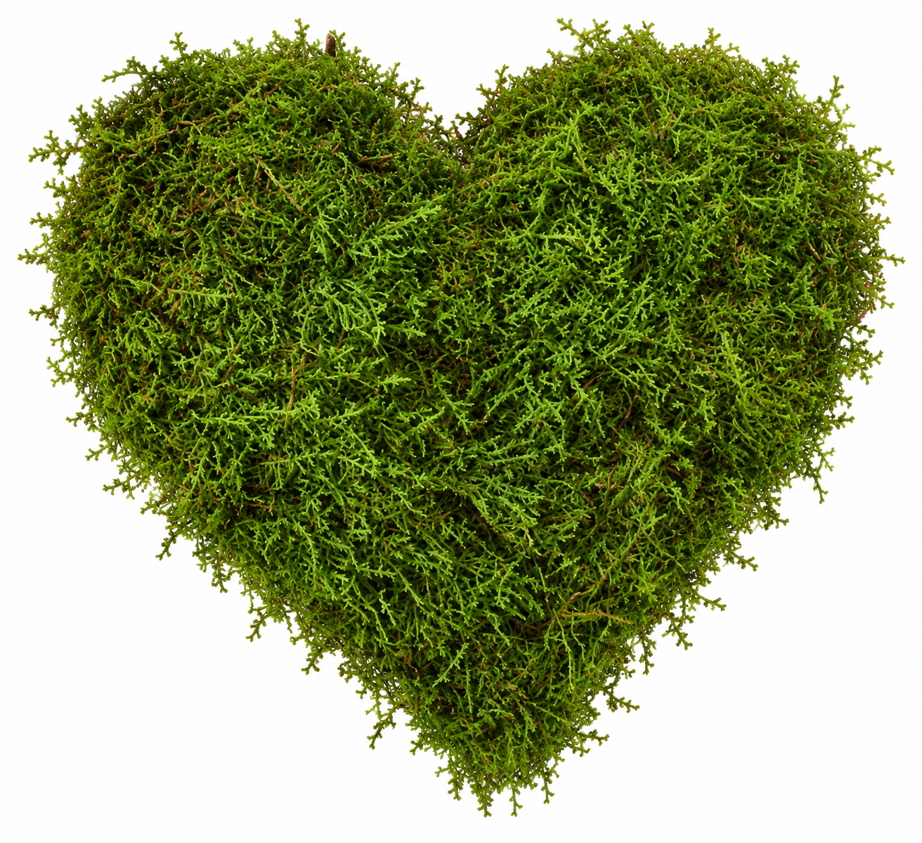 181225 Green Heart