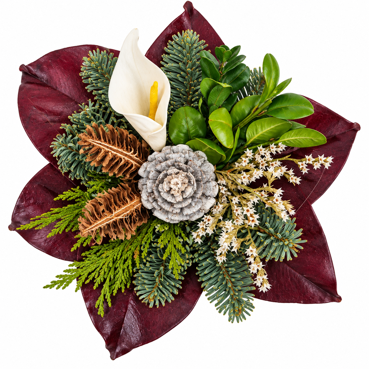 Burgundy Starburst Botanical Arrangement