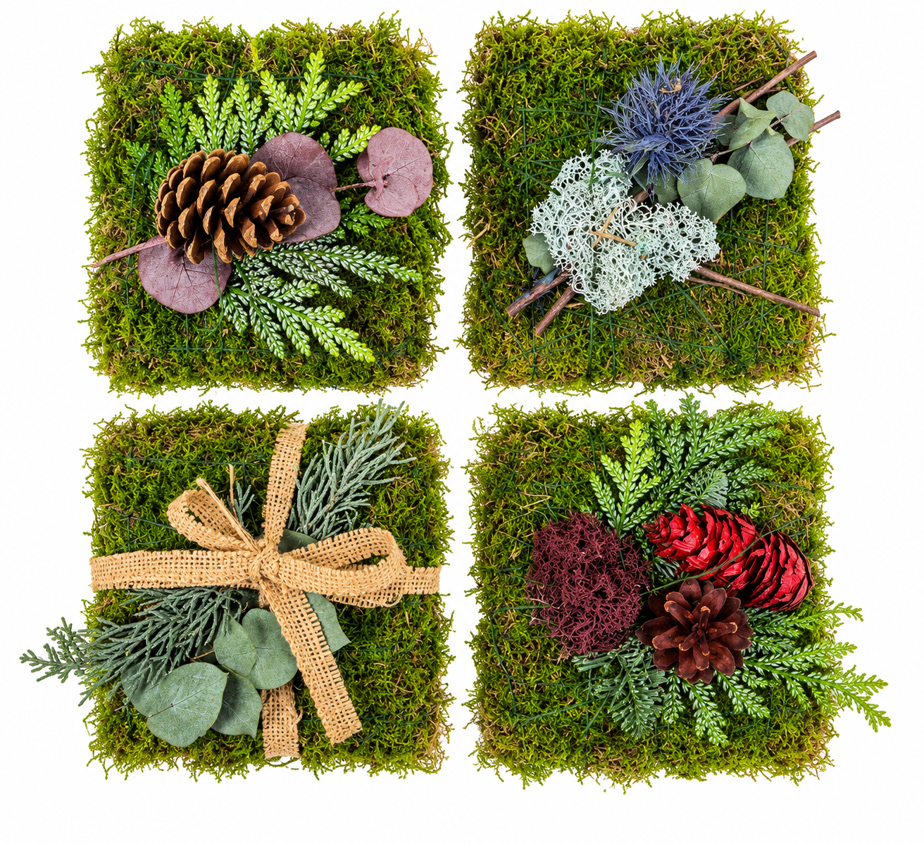 Four Botanical Moss Panel Arrangements
