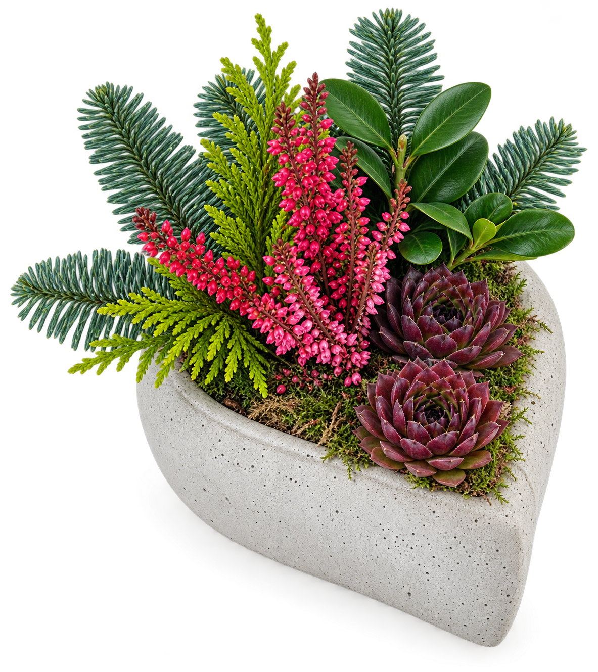 Heart Shaped Evergreen and Heather Arrangement