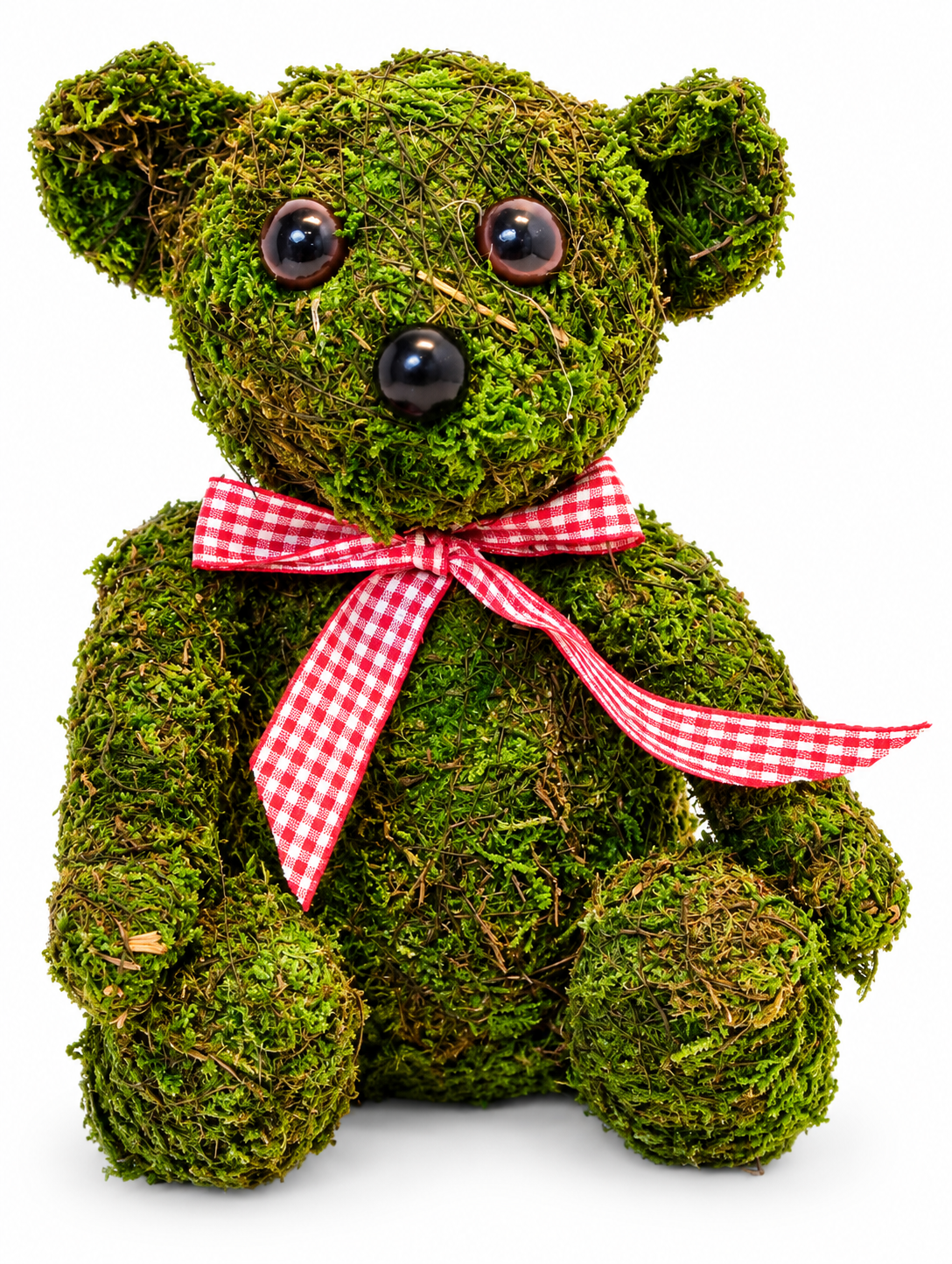 Moss Covered Teddy Bear with Gingham Bow
